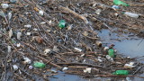 Тонове боклуци покриха бреговете на язовир "Кърджали"