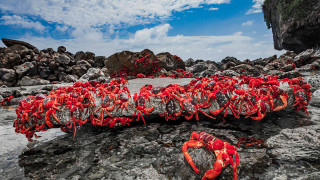 Природата е нещо уникално и в това сме се убеждавали