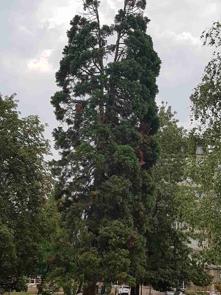 Снимка 307163
