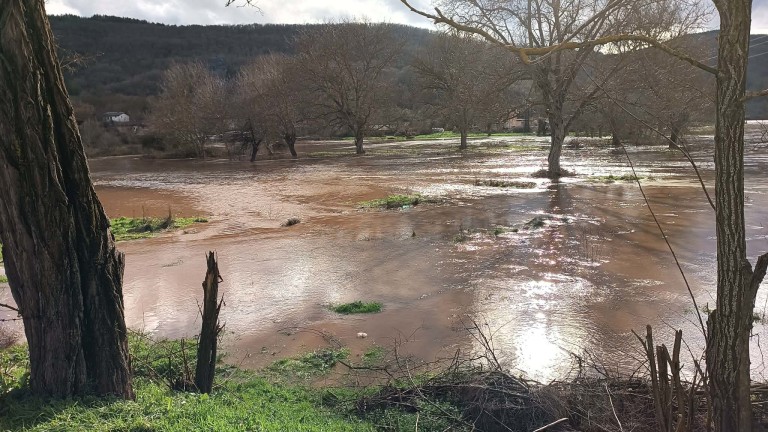 Изображение 747263