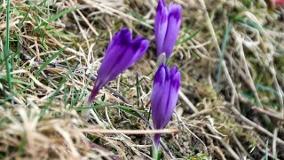 НИМХ обяви предупреждение за жълт код за силен вятър по Черноморието