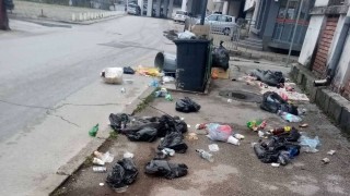 Столичната община ще разглежда публично план сметката за почистването в София