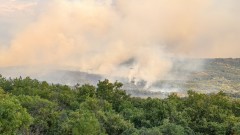 Пожарът в планината Сакар изпепели повече от 200 декара пшеница