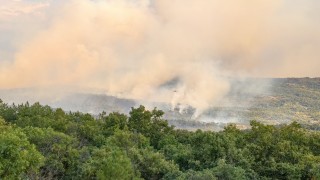 Пожарът в планината Сакар изпепели повече от 200 декара пшеница