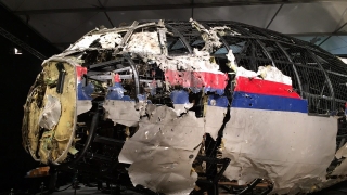 Близки на жертвите от полет MH17 подадоха иск срещу Путин