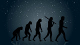  Човешката еволюция, мъдреците, спомагателните кости и по какъв начин се променяме в последните години 