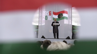 НПО-та в Унгария се страхуват от „лов на вещици” след победата на Тръмп