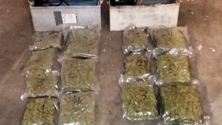 Граничари спипаха двама мъже с 8 400 грама марихуана около Хасково