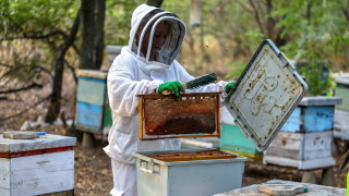Фалшивият мед продължава да се появява по рафтовете на магазините