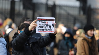 Граждани в редица български градове се събраха на протест и