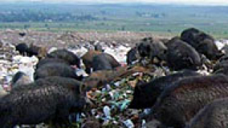 2000 подписа срещу софийския боклук в Ловеч