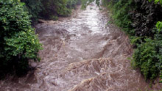 Седем общини засегнати от дъжда