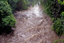 Седем общини засегнати от дъжда 