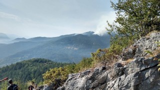 Пожарът в Югово е овладян