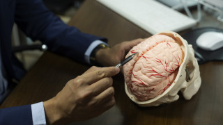 Все по малко непозната но все така притеснителна деменцията е обект