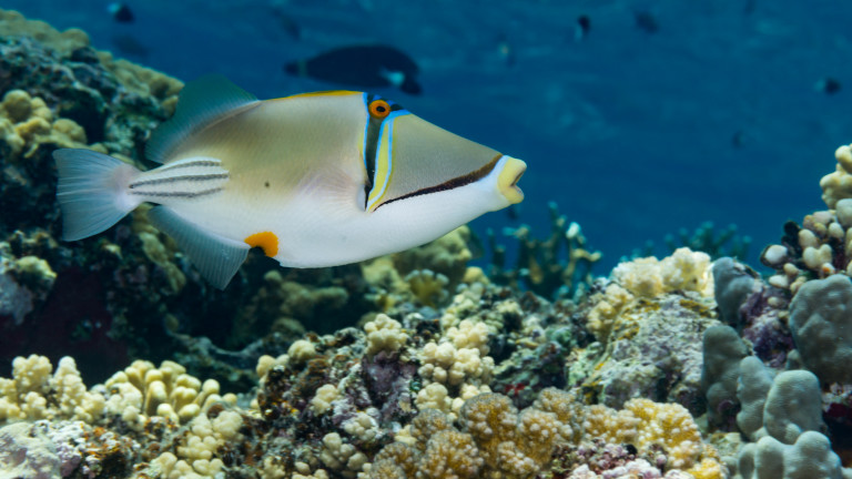 Изображение 403864