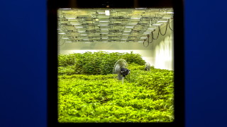 Законодателите в американския щат Ню Йорк прокараха законопроект за легализиране