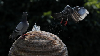 Седмицата започва с жега