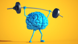 За никого не е тайна че с напредването на възрастта когнитивните