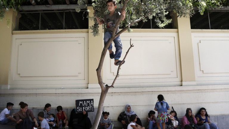 Изображение 306564