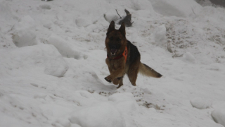 Двама от четиримата руски военнослужещи които са измъкнати изпод лавина