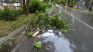 Буря се разрази в Пловдив около 20 ч тази вечер