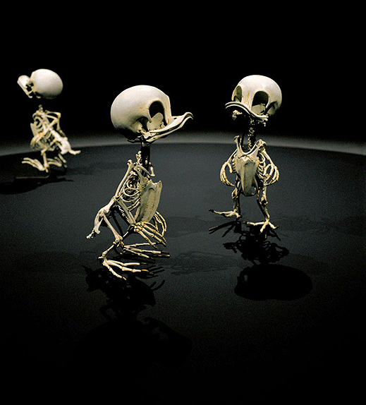 Как изглеждат скелетите на любимите ви анимационни герои (галерия)
