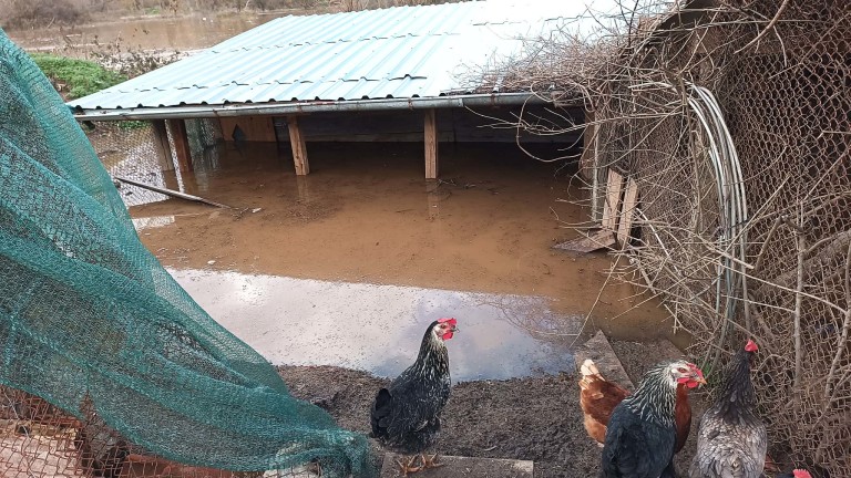 Изображение 747264