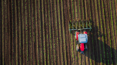 Селското стопанство през 2022 г.: По-високи цени, по-малко продукция