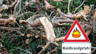Германия регистрира рекордни загуби на горски масиви