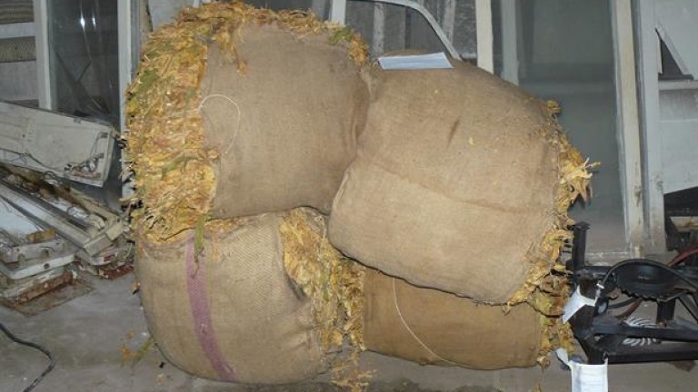 Задържаха близо 315 кг незаконен тютюн при специализирана операция срещу