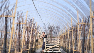 Рано сутринта в петък залата за пристигащи на летището Лутън в Лондон се