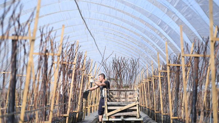 Коронавирус: Стотици български работници напълниха за кратко британско летище