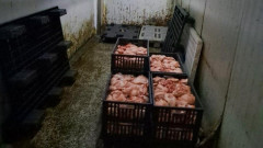 БАБХ спря частично работата на месокомбинат в Свищов