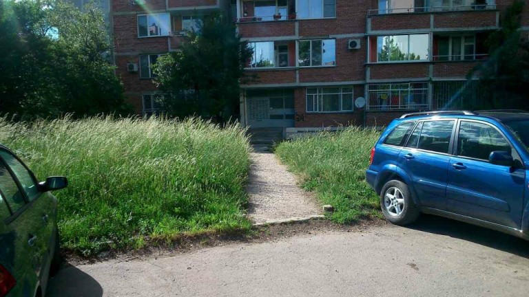Изображение 358264