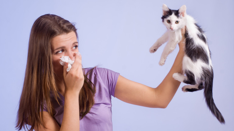 Ще има ли лек за алергията към котки
