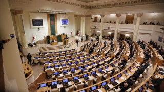 Грузинските депутати пак използваха юмруци за закона за чуждестранни агенти