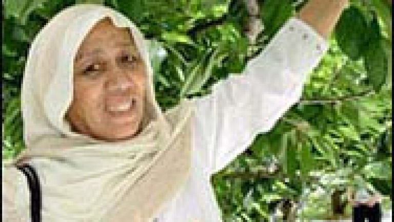 Изображение 10065