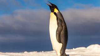 В София Тех Парк на 26 септември от 10 до