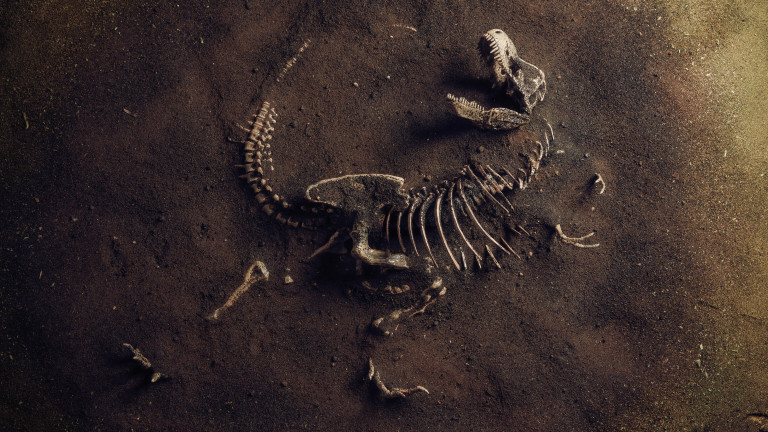 Необичайно добре запазен скелет на динозавър, който датира от късния