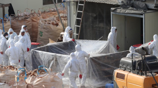 Увеличаване на птичи грип при хора в Китай - "вирус, който причинява висока смъртност"