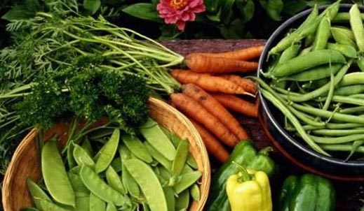 В Пазарджишко прогнозират по-високи цени на зеленчуците и плодовете  