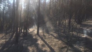 Продължава гасенето на горския пожар в Национален парк Рила Вчера