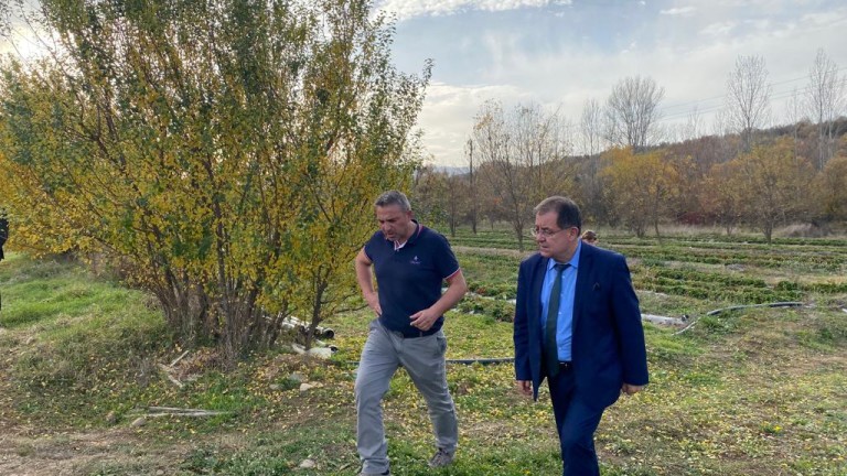 Изображение 552765