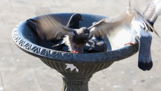 Днес ще бъде слънчево и горещо с максимални температури между