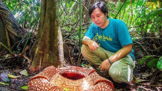 Най-странните растения в света