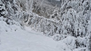 Към 17 часа днес без електрозахранване остават 98 отдалечени населени