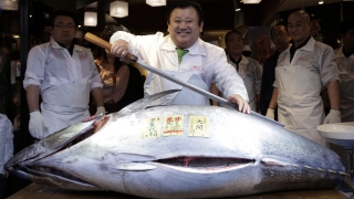 200-килограмова риба тон бе продадена за $117 000 в Япония