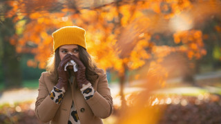 Свикнали сме да говорим за алергии най вече с настъпването на