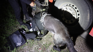 Иззеха общо 40 хил къса цигари без български акцизен бандерол